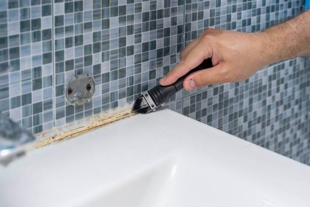  Ada, OH Mold Removal Pros