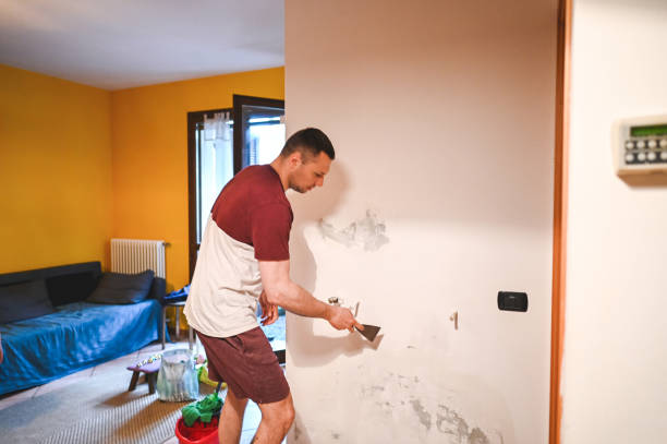 Best Basement Mold Remediation in Ada, OH